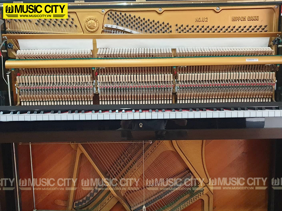 Music City – Tổng Kho Piano, Guitar, Organ | Dịch Vụ Giáo Dục Âm Nhạc
