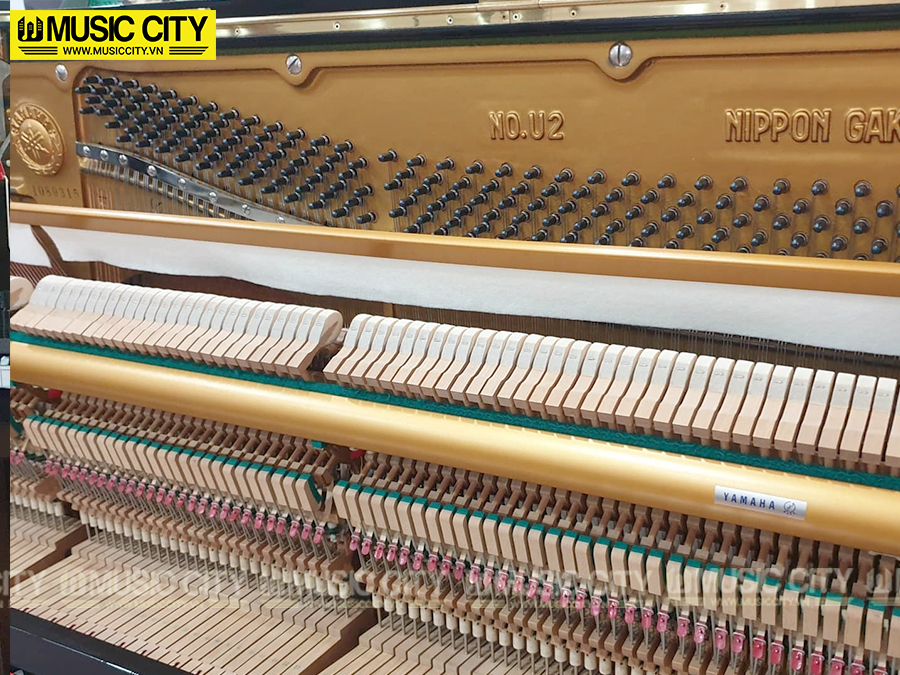 Music City – Tổng Kho Piano, Guitar, Organ | Dịch Vụ Giáo Dục Âm Nhạc
