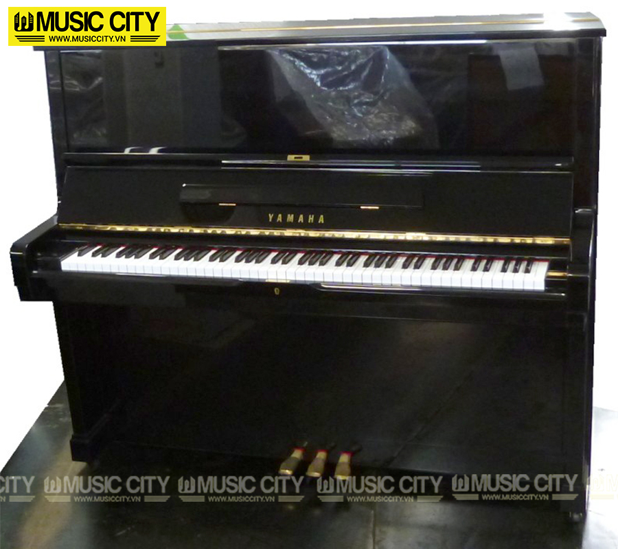 Music City – Tổng Kho Piano, Guitar, Organ | Dịch Vụ Giáo Dục Âm Nhạc