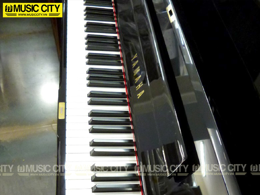 Music City – Tổng Kho Piano, Guitar, Organ | Dịch Vụ Giáo Dục Âm Nhạc
