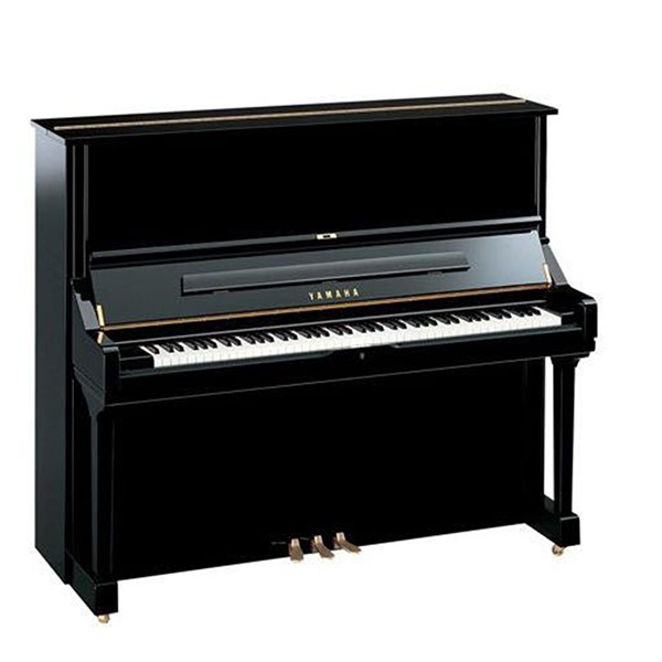 Music City – Tổng Kho Piano, Guitar, Organ | Dịch Vụ Giáo Dục Âm Nhạc