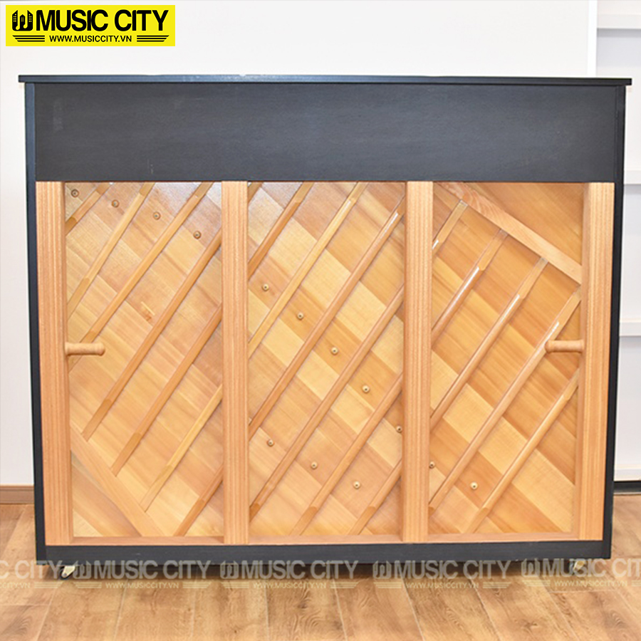 Music City – Tổng Kho Piano, Guitar, Organ | Dịch Vụ Giáo Dục Âm Nhạc