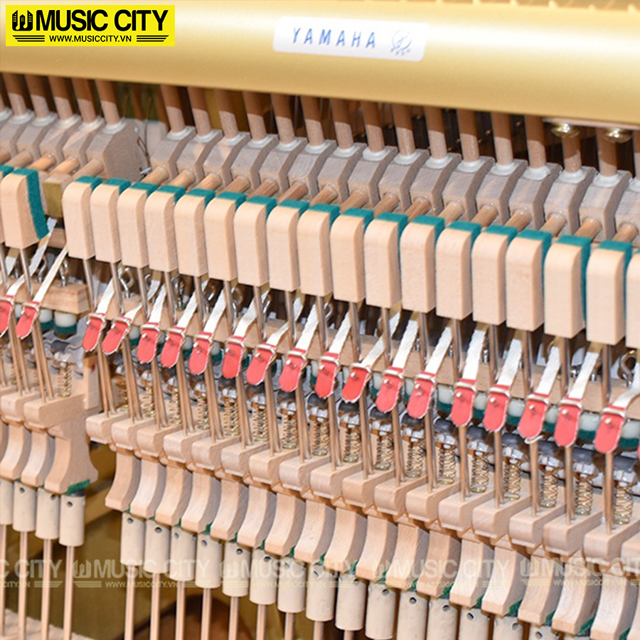 Music City – Tổng Kho Piano, Guitar, Organ | Dịch Vụ Giáo Dục Âm Nhạc