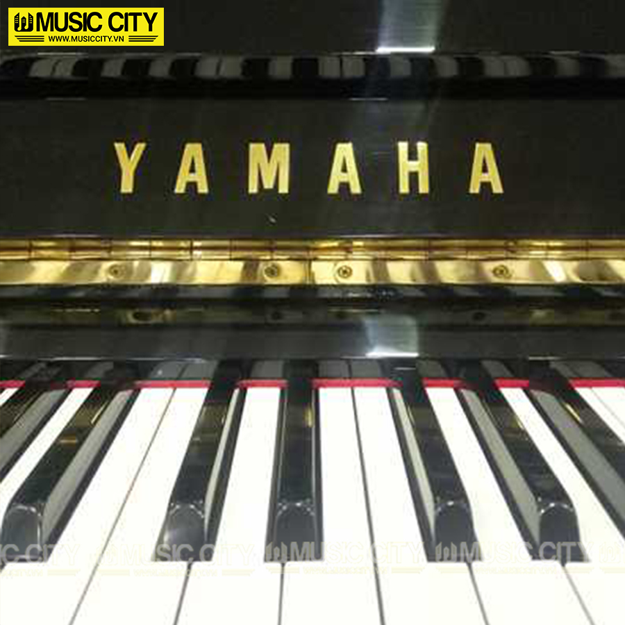 Music City – Tổng Kho Piano, Guitar, Organ | Dịch Vụ Giáo Dục Âm Nhạc