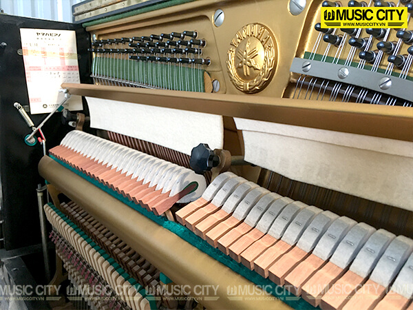 Music City – Tổng Kho Piano, Guitar, Organ | Dịch Vụ Giáo Dục Âm Nhạc