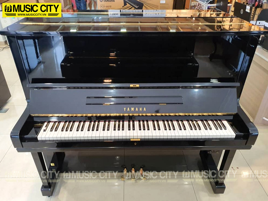Music City – Tổng Kho Piano, Guitar, Organ | Dịch Vụ Giáo Dục Âm Nhạc