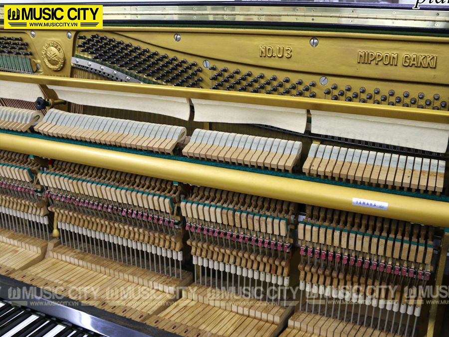 Music City – Tổng Kho Piano, Guitar, Organ | Dịch Vụ Giáo Dục Âm Nhạc