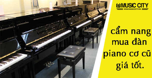 Music City – Tổng Kho Piano, Guitar, Organ | Dịch Vụ Giáo Dục Âm Nhạc