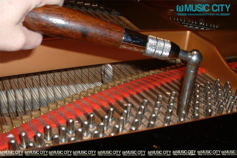 Music City – Tổng Kho Piano, Guitar, Organ | Dịch Vụ Giáo Dục Âm Nhạc
