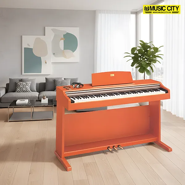 Music City – Tổng Kho Piano, Guitar, Organ | Dịch Vụ Giáo Dục Âm Nhạc