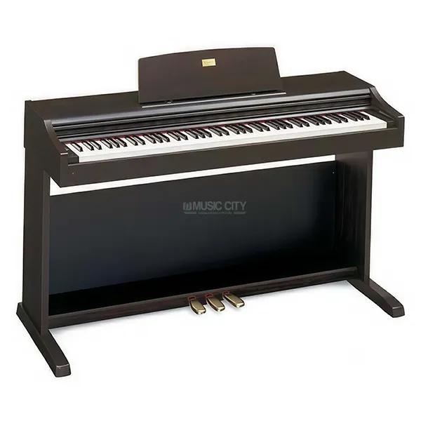 Music City – Tổng Kho Piano, Guitar, Organ | Dịch Vụ Giáo Dục Âm Nhạc