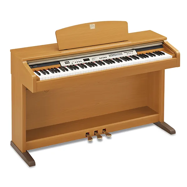 Music City – Tổng Kho Piano, Guitar, Organ | Dịch Vụ Giáo Dục Âm Nhạc