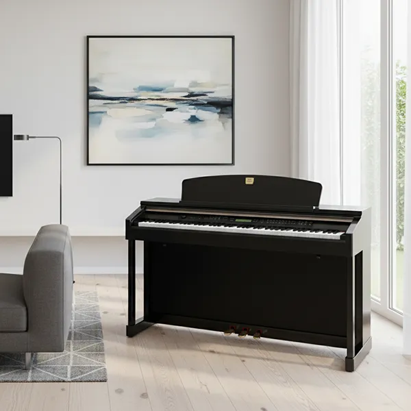 Music City – Tổng Kho Piano, Guitar, Organ | Dịch Vụ Giáo Dục Âm Nhạc