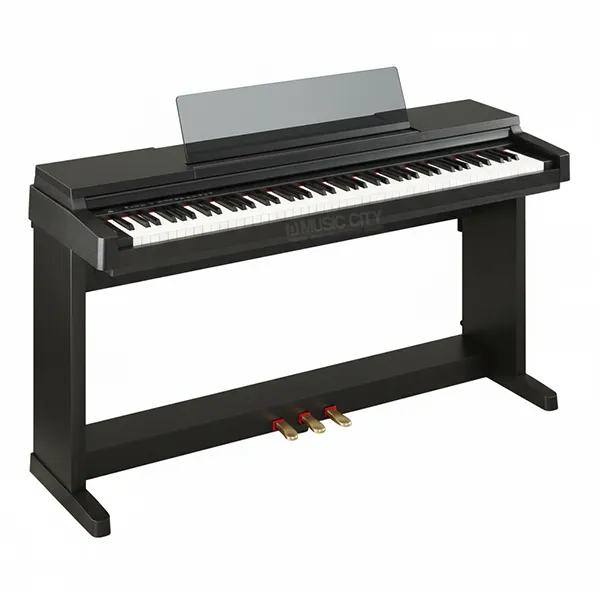Music City – Tổng Kho Piano, Guitar, Organ | Dịch Vụ Giáo Dục Âm Nhạc