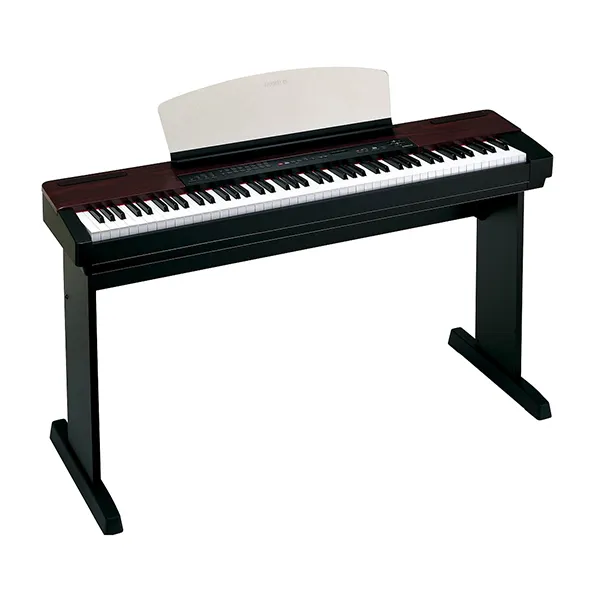 Music City – Tổng Kho Piano, Guitar, Organ | Dịch Vụ Giáo Dục Âm Nhạc
