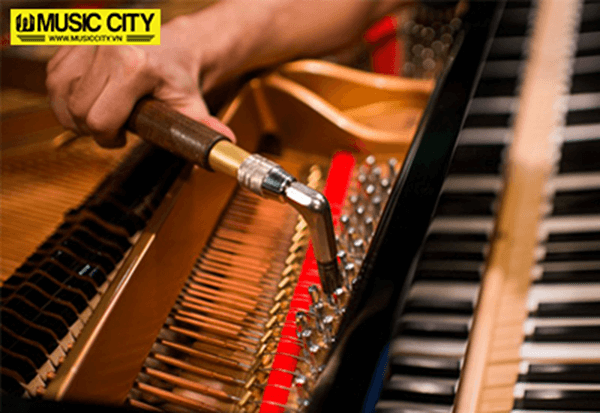 Music City – Tổng Kho Piano, Guitar, Organ | Dịch Vụ Giáo Dục Âm Nhạc