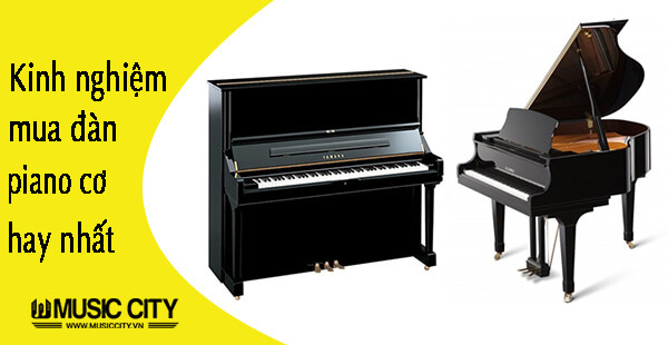Music City – Tổng Kho Piano, Guitar, Organ | Dịch Vụ Giáo Dục Âm Nhạc