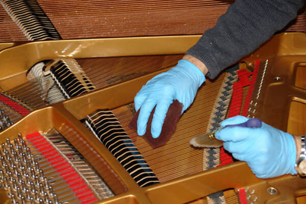 Music City – Tổng Kho Piano, Guitar, Organ | Dịch Vụ Giáo Dục Âm Nhạc