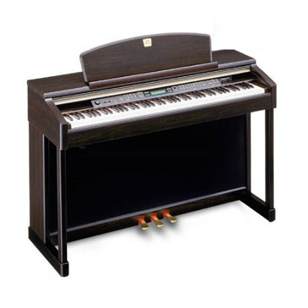 Music City – Tổng Kho Piano, Guitar, Organ | Dịch Vụ Giáo Dục Âm Nhạc
