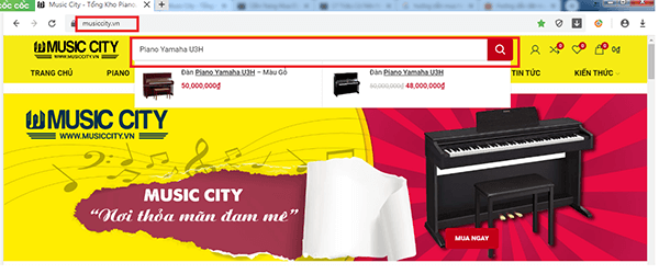 Music City – Tổng Kho Piano, Guitar, Organ | Dịch Vụ Giáo Dục Âm Nhạc