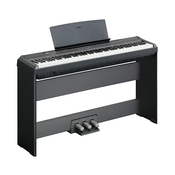 Music City – Tổng Kho Piano, Guitar, Organ | Dịch Vụ Giáo Dục Âm Nhạc