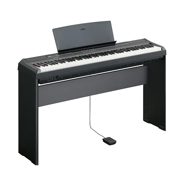 Music City – Tổng Kho Piano, Guitar, Organ | Dịch Vụ Giáo Dục Âm Nhạc