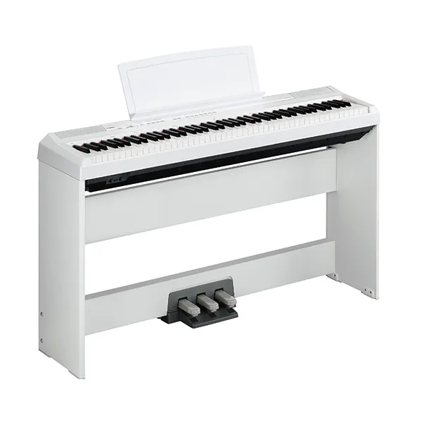 Music City – Tổng Kho Piano, Guitar, Organ | Dịch Vụ Giáo Dục Âm Nhạc