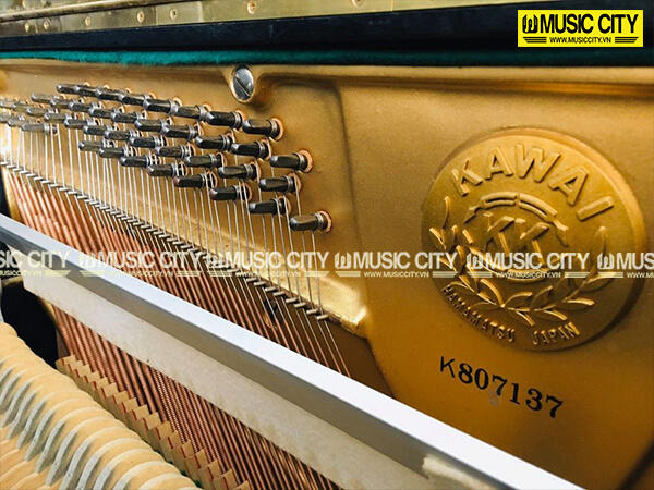 Music City – Tổng Kho Piano, Guitar, Organ | Dịch Vụ Giáo Dục Âm Nhạc