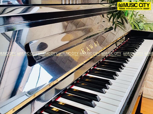 Music City – Tổng Kho Piano, Guitar, Organ | Dịch Vụ Giáo Dục Âm Nhạc