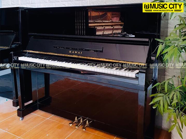 Music City – Tổng Kho Piano, Guitar, Organ | Dịch Vụ Giáo Dục Âm Nhạc