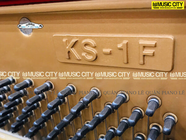 Music City – Tổng Kho Piano, Guitar, Organ | Dịch Vụ Giáo Dục Âm Nhạc