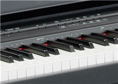 Music City – Tổng Kho Piano, Guitar, Organ | Dịch Vụ Giáo Dục Âm Nhạc