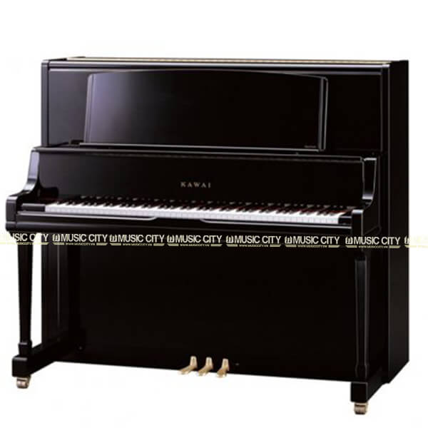 Music City – Tổng Kho Piano, Guitar, Organ | Dịch Vụ Giáo Dục Âm Nhạc