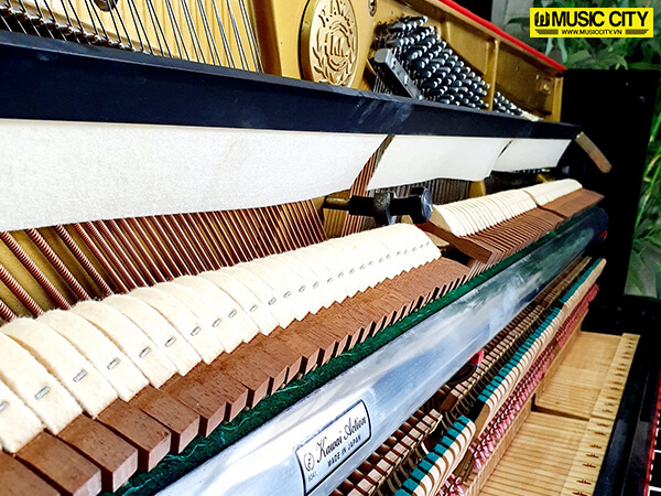 Music City – Tổng Kho Piano, Guitar, Organ | Dịch Vụ Giáo Dục Âm Nhạc