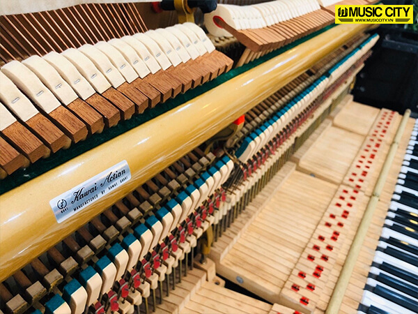 Music City – Tổng Kho Piano, Guitar, Organ | Dịch Vụ Giáo Dục Âm Nhạc