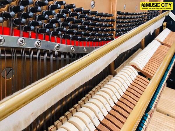 Music City – Tổng Kho Piano, Guitar, Organ | Dịch Vụ Giáo Dục Âm Nhạc