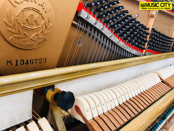 Music City – Tổng Kho Piano, Guitar, Organ | Dịch Vụ Giáo Dục Âm Nhạc