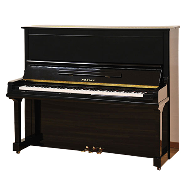 Music City – Tổng Kho Piano, Guitar, Organ | Dịch Vụ Giáo Dục Âm Nhạc