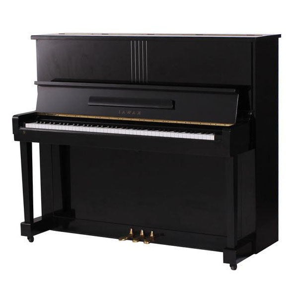Music City – Tổng Kho Piano, Guitar, Organ | Dịch Vụ Giáo Dục Âm Nhạc