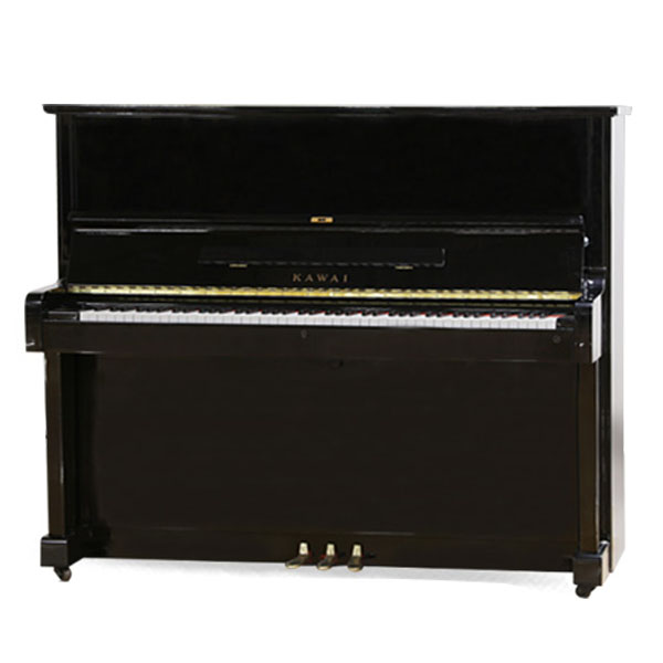 Music City – Tổng Kho Piano, Guitar, Organ | Dịch Vụ Giáo Dục Âm Nhạc