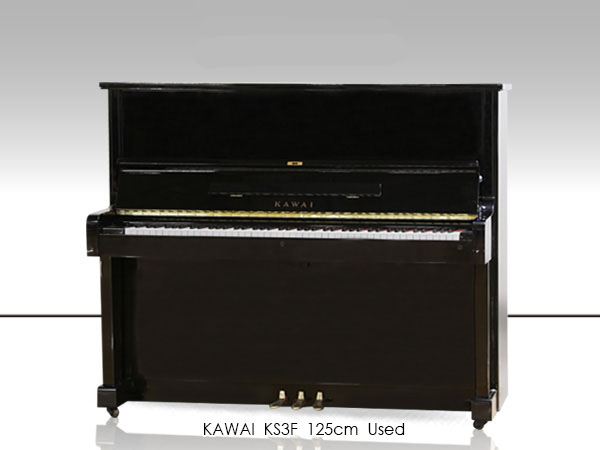 Music City – Tổng Kho Piano, Guitar, Organ | Dịch Vụ Giáo Dục Âm Nhạc