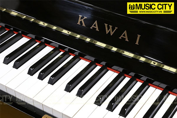 Music City – Tổng Kho Piano, Guitar, Organ | Dịch Vụ Giáo Dục Âm Nhạc