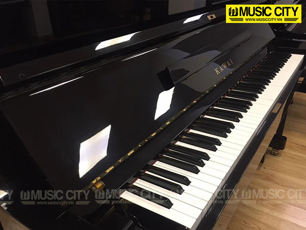 Music City – Tổng Kho Piano, Guitar, Organ | Dịch Vụ Giáo Dục Âm Nhạc