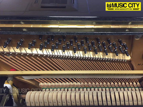 Music City – Tổng Kho Piano, Guitar, Organ | Dịch Vụ Giáo Dục Âm Nhạc