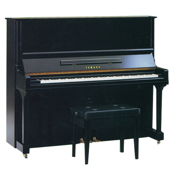 Music City – Tổng Kho Piano, Guitar, Organ | Dịch Vụ Giáo Dục Âm Nhạc