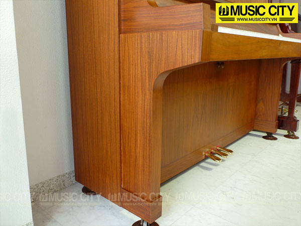 Music City – Tổng Kho Piano, Guitar, Organ | Dịch Vụ Giáo Dục Âm Nhạc