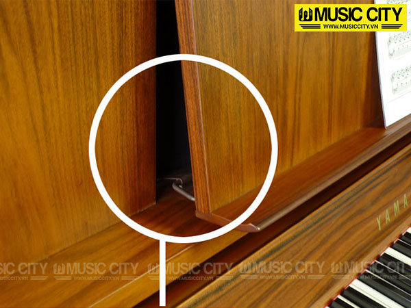 Music City – Tổng Kho Piano, Guitar, Organ | Dịch Vụ Giáo Dục Âm Nhạc