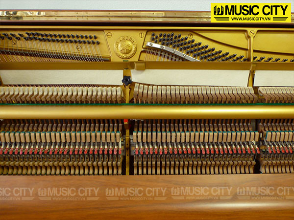 Music City – Tổng Kho Piano, Guitar, Organ | Dịch Vụ Giáo Dục Âm Nhạc