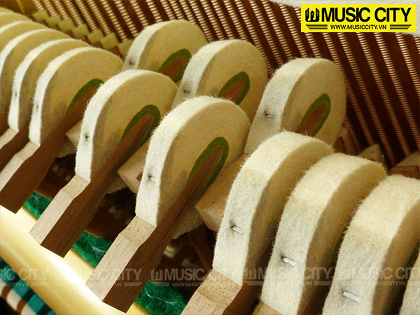 Music City – Tổng Kho Piano, Guitar, Organ | Dịch Vụ Giáo Dục Âm Nhạc