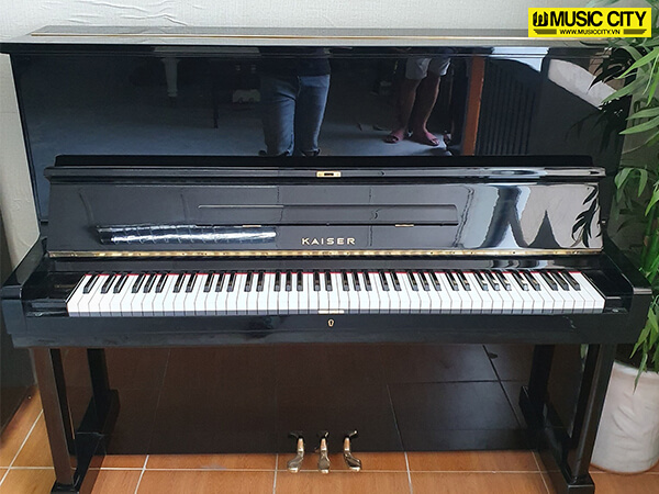 Music City – Tổng Kho Piano, Guitar, Organ | Dịch Vụ Giáo Dục Âm Nhạc